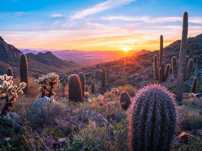 Tucson, Arizona